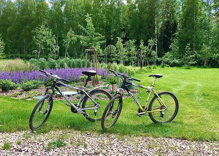 Z Bala Σπίτι διακοπών